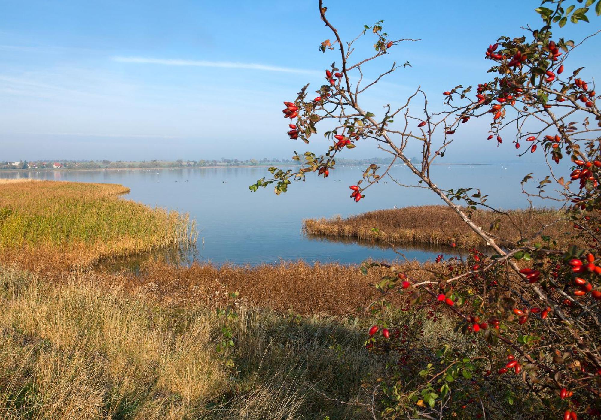Seerose Insel Poel Exteriér fotografie