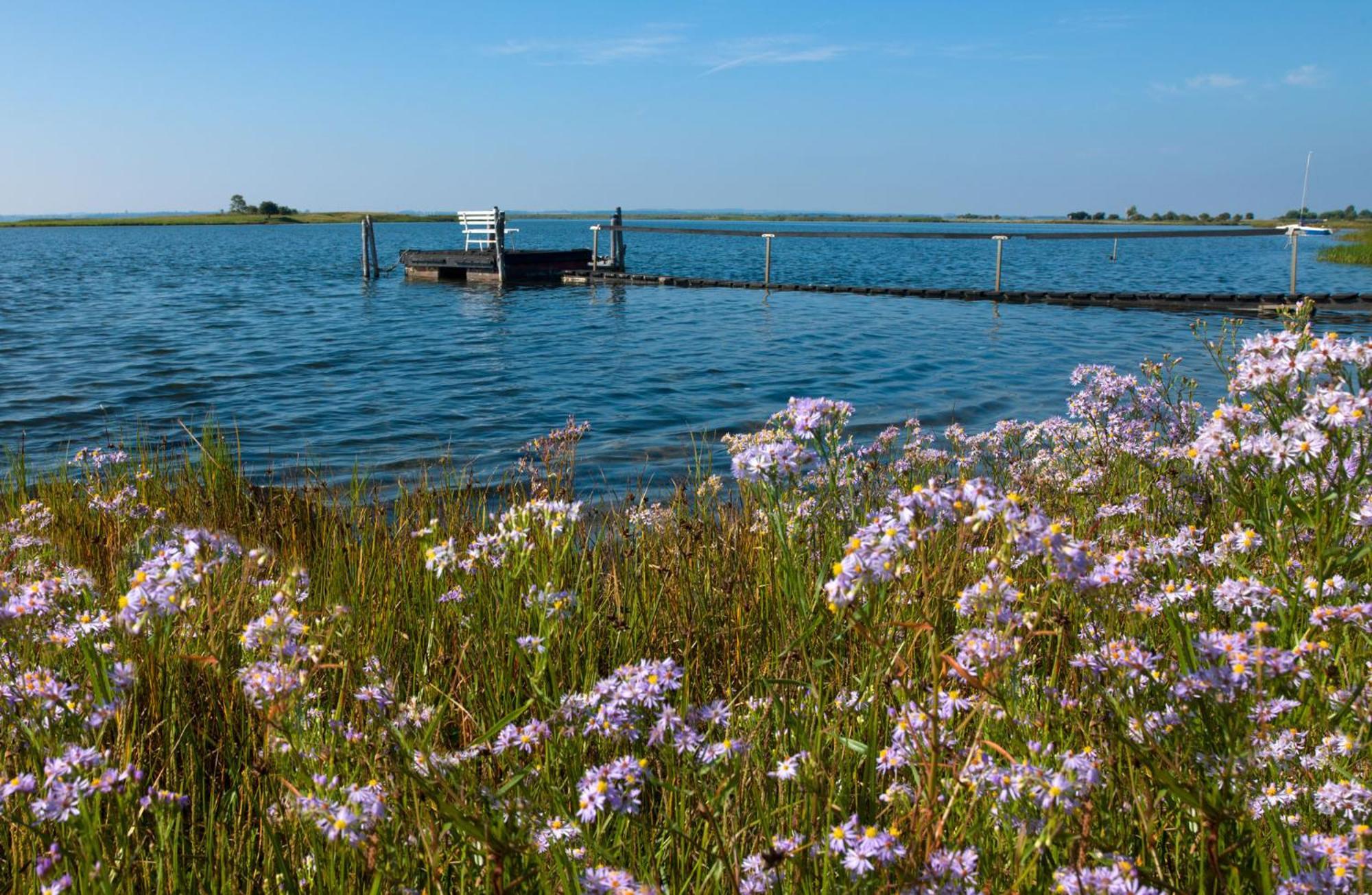 Seerose Insel Poel Exteriér fotografie