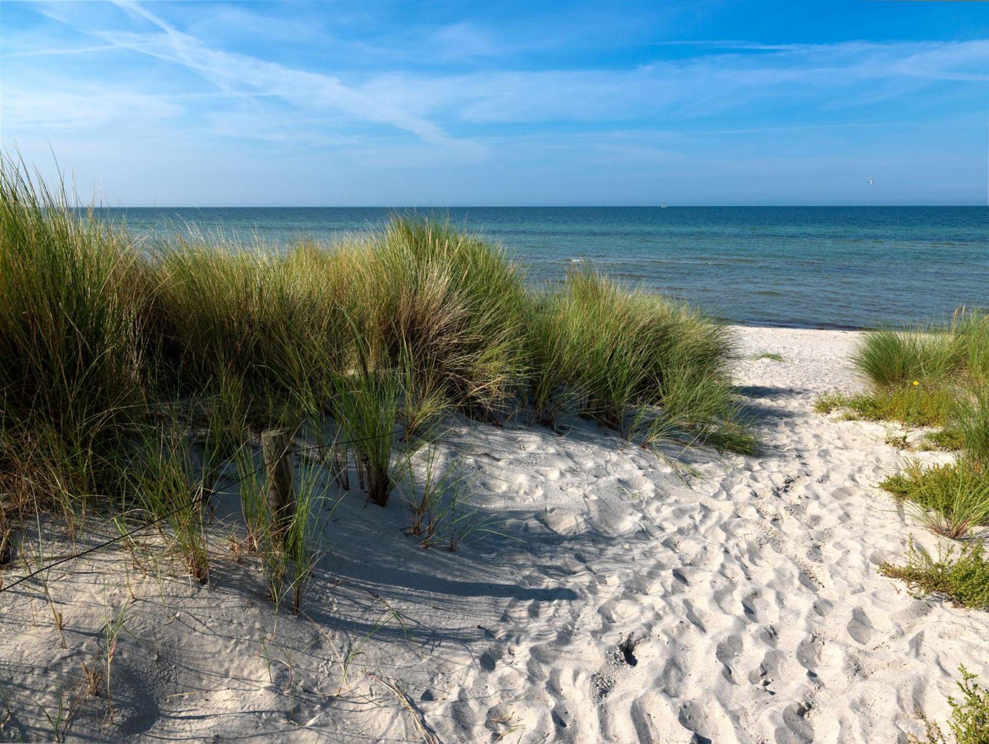Seerose Insel Poel Exteriér fotografie