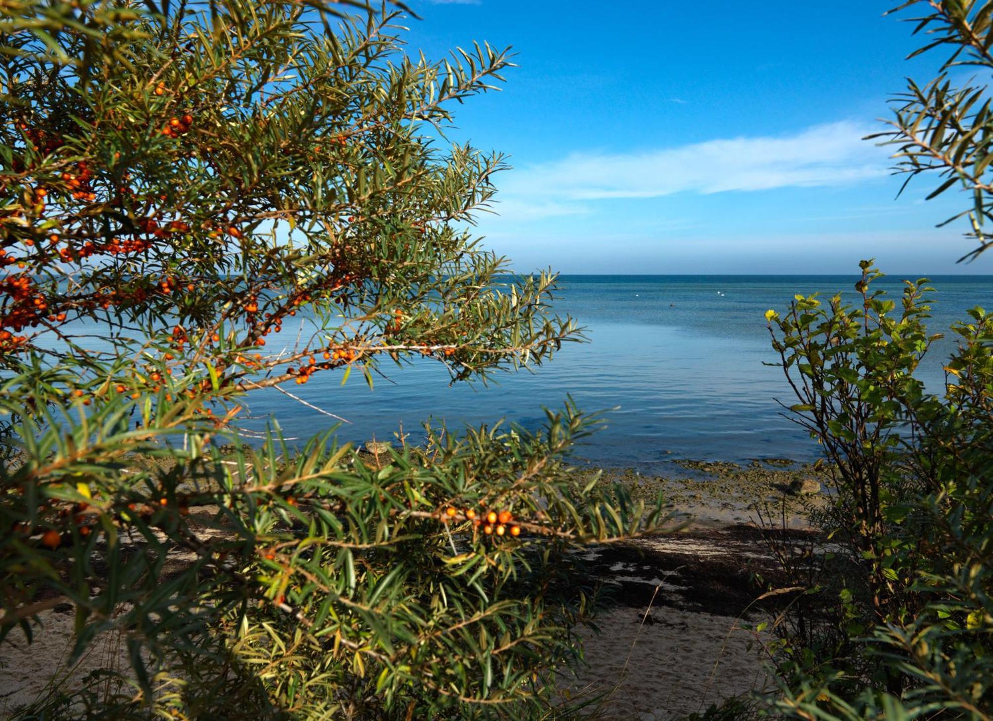 Seerose Insel Poel Exteriér fotografie